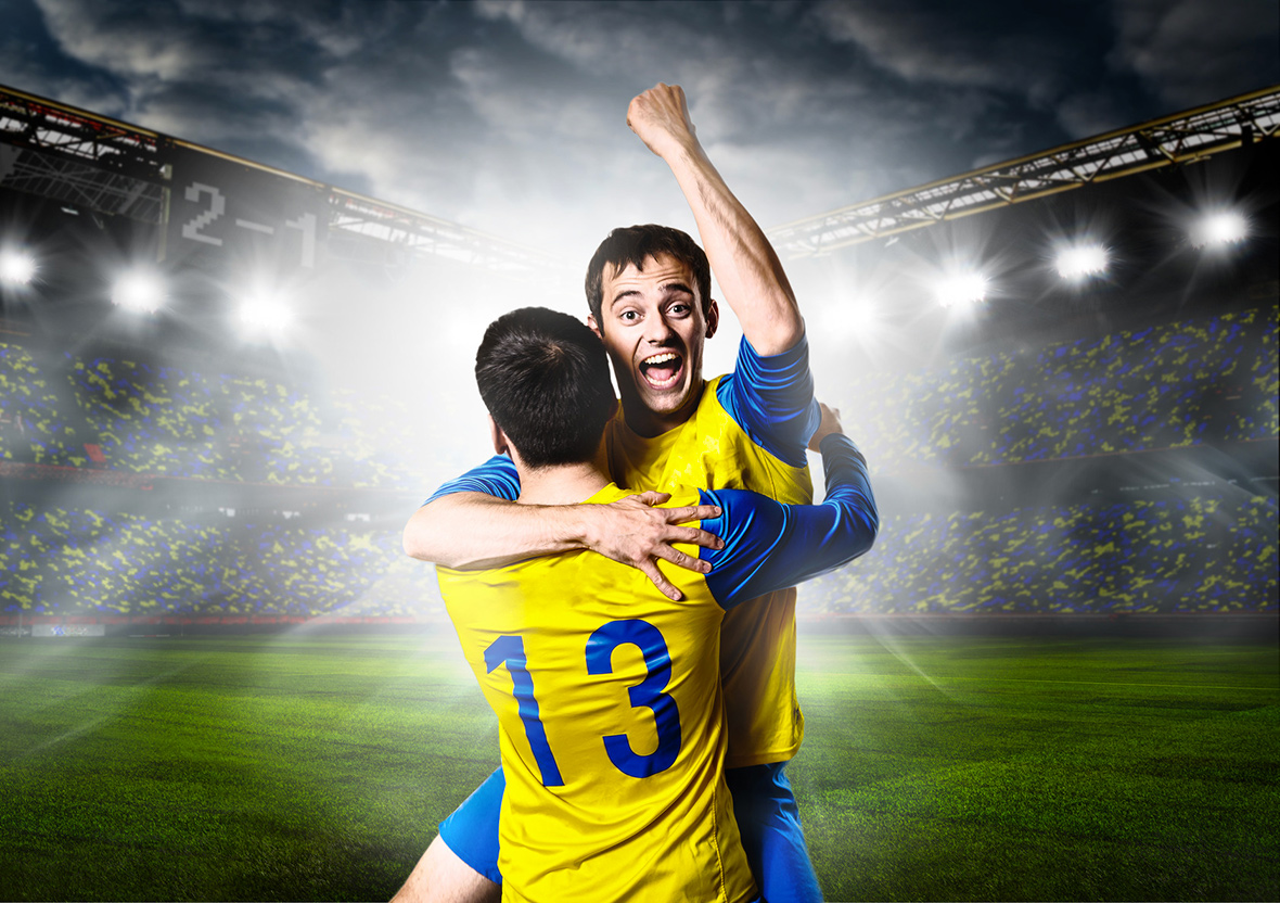 Fringilla Aenean Ornare Ligula