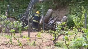 Homem de 72 anos perde a vida após trator capotar em Mêda