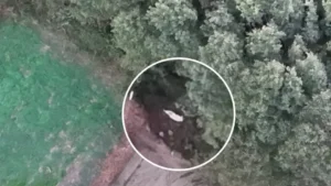 Idoso desaparecido em Aveiro localizado por drone da GNR